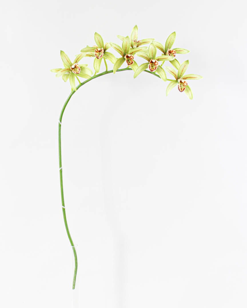 ほぼ自然1404-bg Cymbidium OrchidシルクArrangement withブラック花瓶、D 