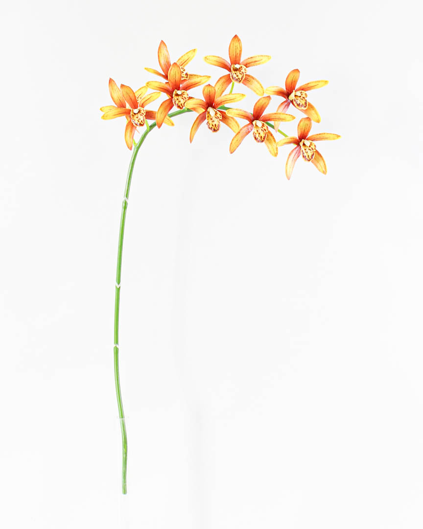 ほぼ自然1404-bg Cymbidium OrchidシルクArrangement withブラック花瓶、D 